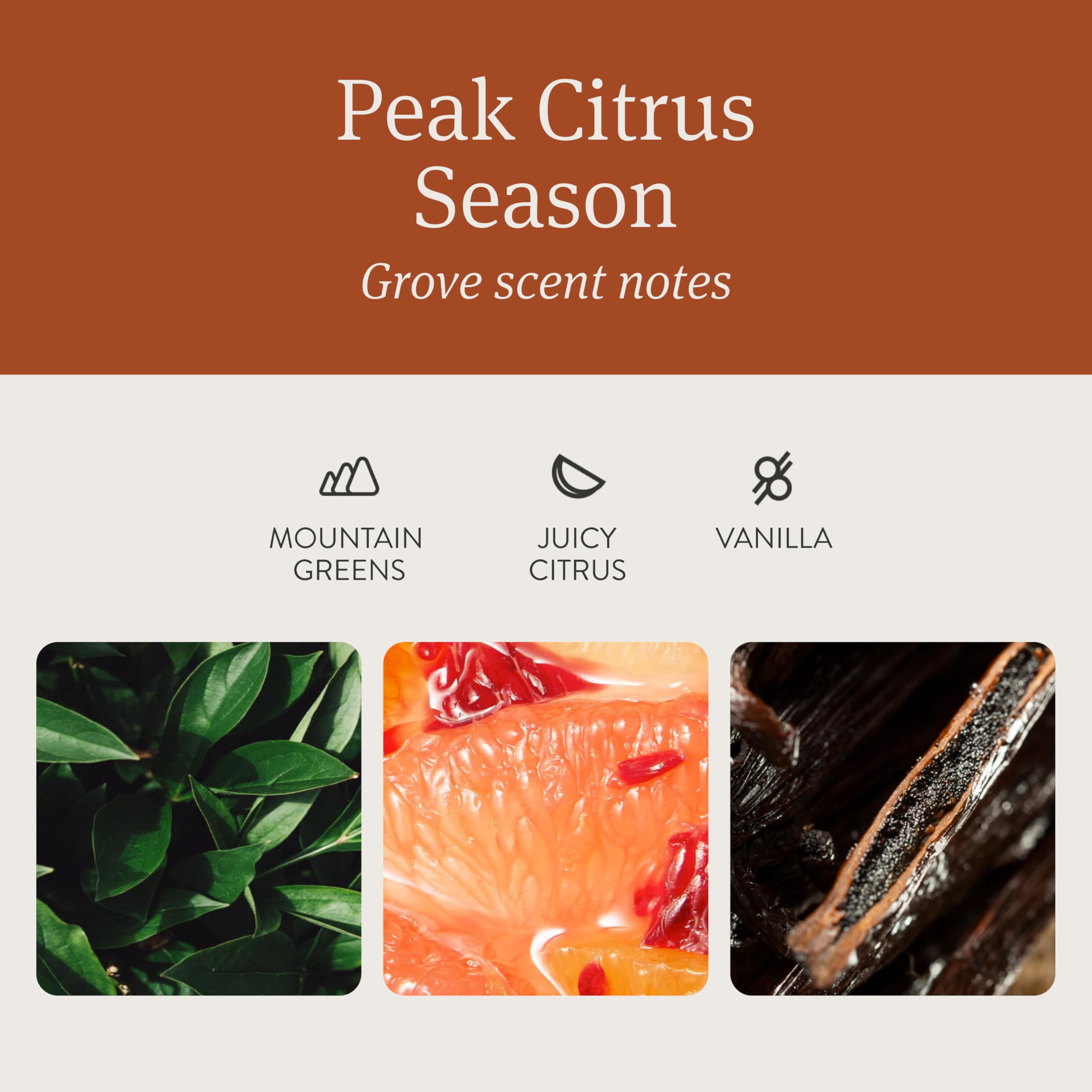 Drift Car Air Freshener – Amber Scent