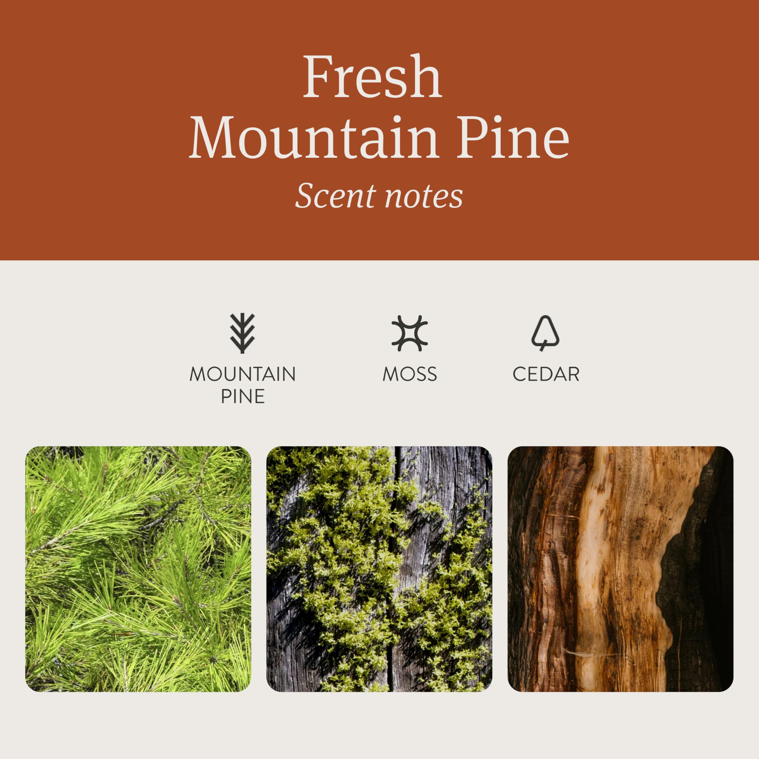 Drift Car Air Freshener – Amber Scent